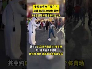 世运会场馆,揭秘,游泳馆与地,开云后台,后台管理中心,系统管理平台,平台服务系统,后台资讯